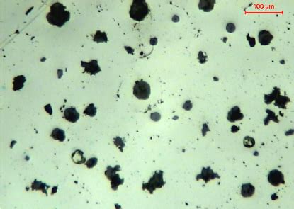 Microstructure of ductile iron, unetched metallographic specimen ...