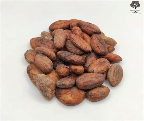 Σπόροι Κακάο Ωμοί Theobroma Cacao Agora Market