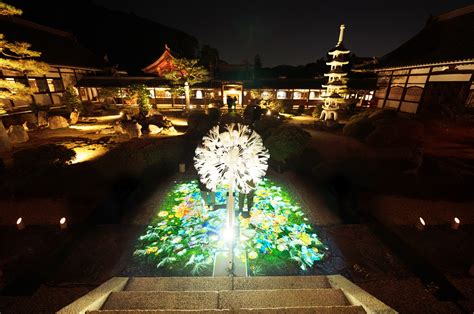 บตรชมงาน NAKED GARDEN ONE KYOTO Uji l ชมวดโคโชจยามคำคน ญปน