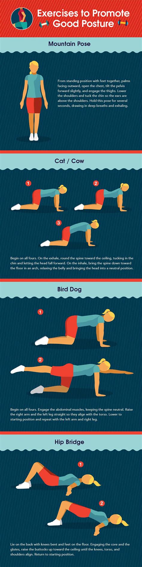 4 Exercises to Promote Good Posture (Infographic)