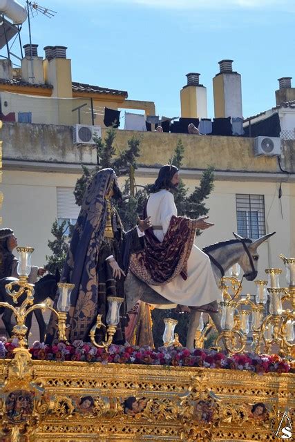 Provincia Galería Domingo de Ramos Hermandad de la Borriquita de