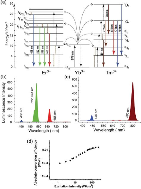 A Detailed Energy Level Diagram Of Co Doped Lanthanide Ions Yb 3