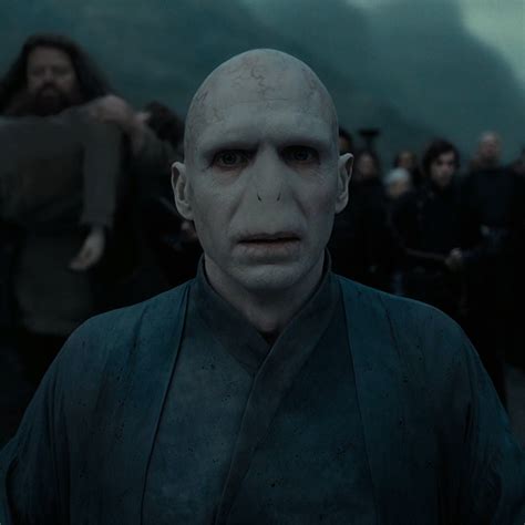 Lord Voldemort Harry Potter Characters Harry Potter Harry Potter