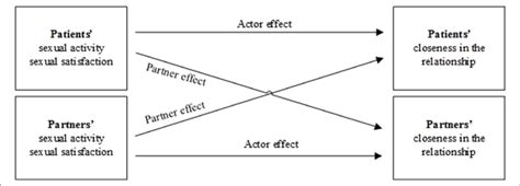 The Actor Partner Interdependence Model Of The Association Of Sexual