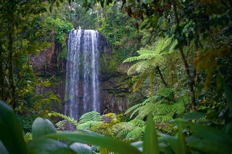 Cairns City In Tropical North Queensland