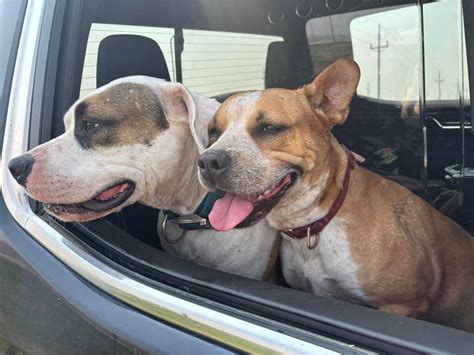 New digital access for stutsman county jail roster jamestown nd 28