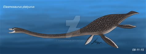 Elasmosaurus Platyurus By Tuxemperor Animals Prehistoric Whale