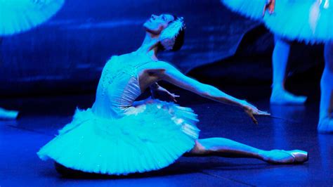 Vuelve El Lago De Los Cisnes Del Ballet De San Petersburgo Al Teatro