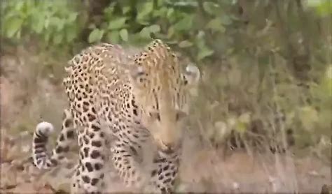 Parque Sexual Free Porn Video D Xhamster