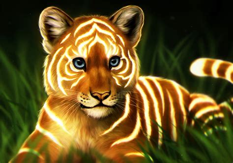 Bengal Tiger Wallpaper Cubs