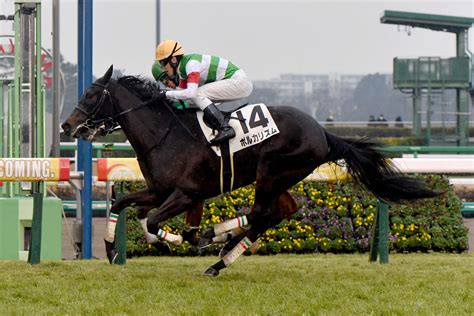 【ポルカリズム】114中山5r 芝1600 3歳新馬 競馬ファンのこえ