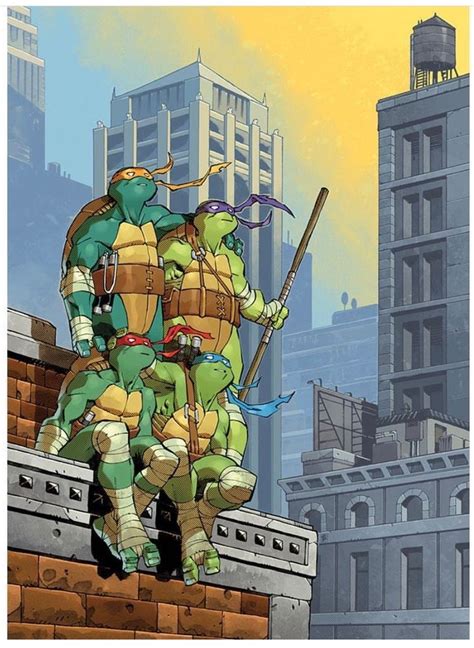 Pin By Roc On Tmnt Ninja Turtles Teenage Mutant Ninja Turtles Teenage Mutant Ninja