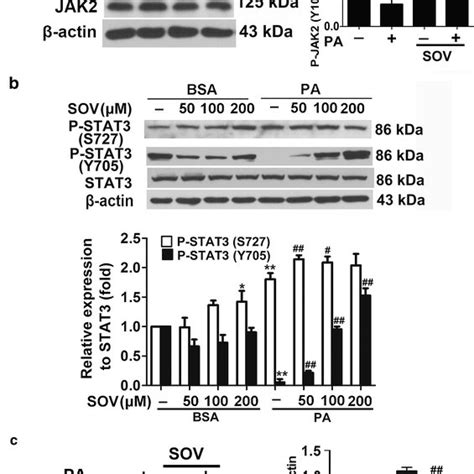 STAT3 Phosphorylation At Y705 And S727 Differentially Regulates