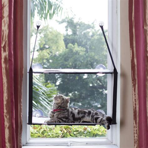 Top 10 Best Cat Window Perches In 2021 Reviews Buyers Guide