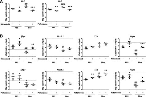 Effect Of In Vitro Treatment With Pirfenidone And Nintedanib On Primary