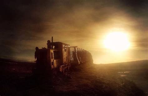 capture  magic  golden hour   iphone