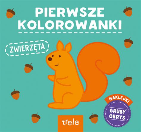 Pierwsze Kolorowanki Zwierz Ta Ksi Ka Recenzja Streszczenie