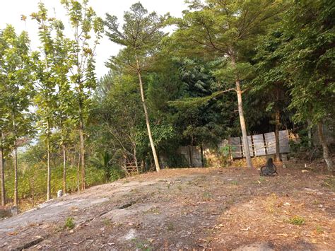 Di Jual Tanah Lokasi Strategis Cocok Untuk Buka Usaha Di Sentul