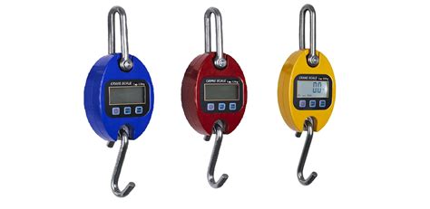 Ocs 300kg 500kg Portable Luggage Crane Scale With Hook China Hook