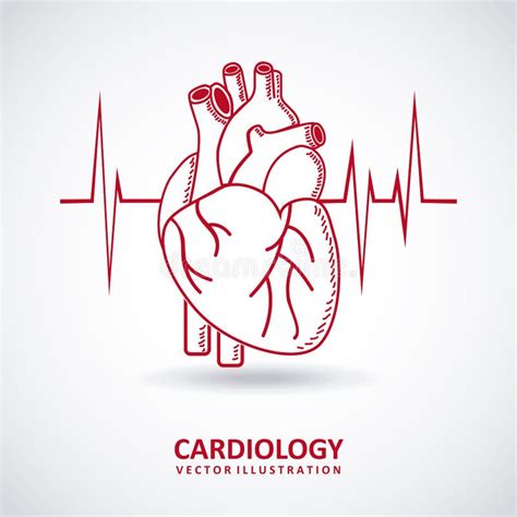 Diseño De La Cardiología Ilustración Del Vector Ilustración De