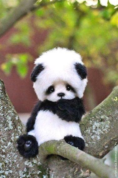 Top 129 Imágenes de pandas tiernos Destinomexico mx