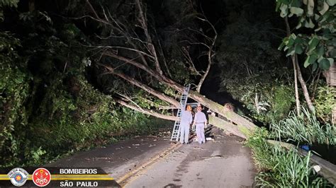 Queda De árvore Interdita Sp 50 Por Cerca De 4h Em Monteiro Lobato Sp