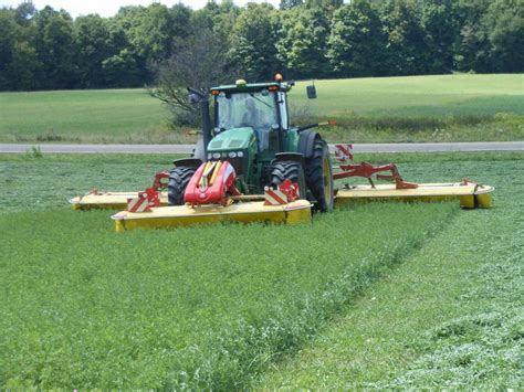 Cutting Alfalfa King S AgriSeeds