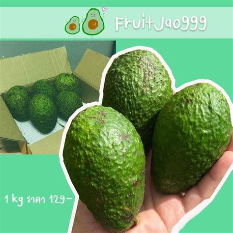 อะโวคาโด้พันธ์ุแฮสราคาถูก Avocado Hass 1 Kg โครงการหลวง เกษตรพื้นที่สูง เชียงใหม่ อาโวคาโด้ อ