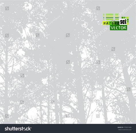 Trees Background Forest Vector Stock Vector (Royalty Free) 775051948 ...