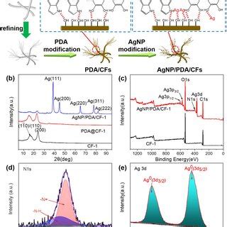 Sem Images Of Cellulose Fibers And Agnp Pda Cfs A Cf B Cf