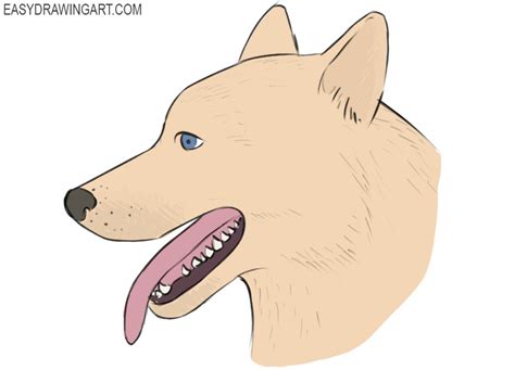 How to Draw a Dog Face - Easy Drawing Art