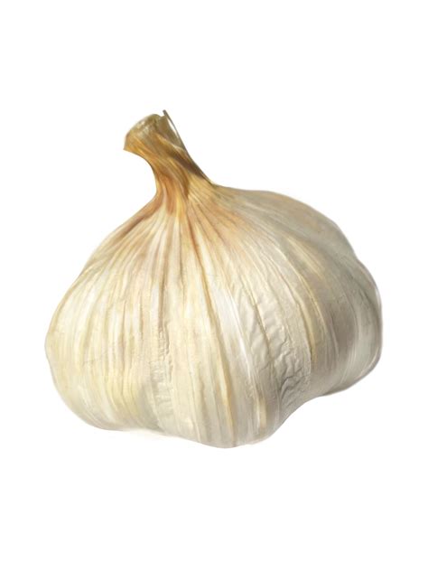 Head Of Garlic Spices Png