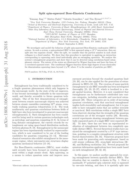 PDF Split Spin Squeezed Bose Einstein Condensates