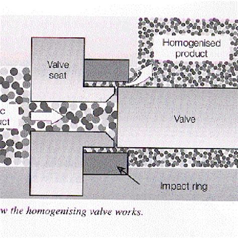 2 Schematic Representation Of The Homogenization Valve Of A Download Scientific Diagram