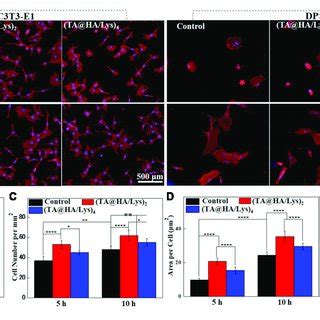 A Antioxidant Activities Of Glass Coverslips As Control