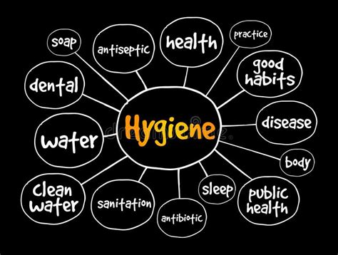 Hygiene Mind Map Health Concept For Presentations And Reports Stock Illustration Illustration