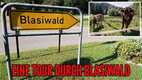 Unterwegs Im Schwarzwald Eine Tour Durch Blasiwald K He Auf Der