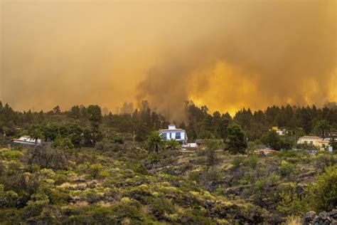 Evacuated In La Palma Wildfire In Spains Canary Islands