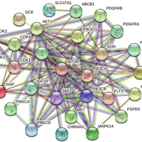 Protein Protein Interaction Ppi Network Download Scientific Diagram