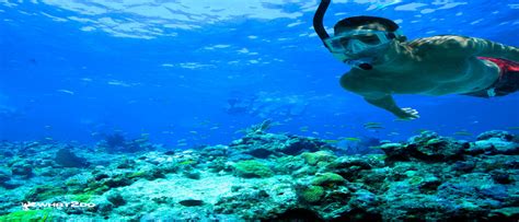 Ocean Kayaking Snorkeling In Manuel Antonio What2doincr