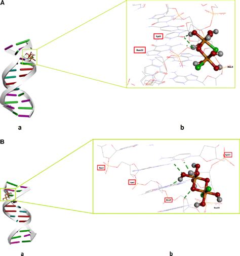 A Top Ranked Conformation Of The Interaction Between The Constituent Download Scientific