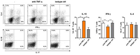 Cytokine Analysis Intracellular Cytokine Staining By Flow Cytometry