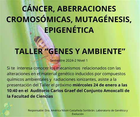 Taller Genes Y Ambiente Asignatura Obligatoria De La Licenciatura En