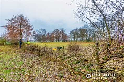 Heggen Leggen Regionaal Landschap Lage Kempen