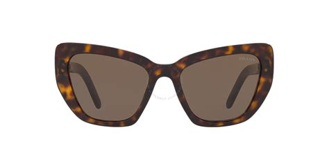 Prada Brown Cat Eye Ladies Sunglasses Pr 08vsf 2au8c155 8056597038768 Sunglasses Prada