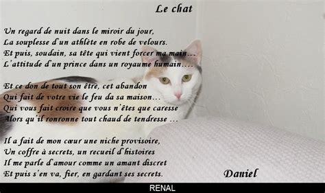 LES CHATS EN POESIE Le monde de la philo et de la poésie