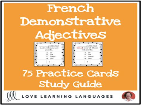 French Demonstrative Adjectives 75 Practice Cards Teaching Resources