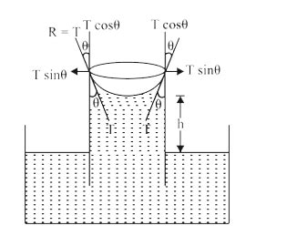 Doubt Solutions Maths Science Cbse Ncert Iit Jee Neet