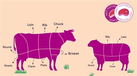 Meat 101: Learn Your Meat Cuts Before Eid - Breadfast