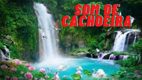 Sons Da Natureza Som De Cachoeira M Sica Para Acalmar A Mente E